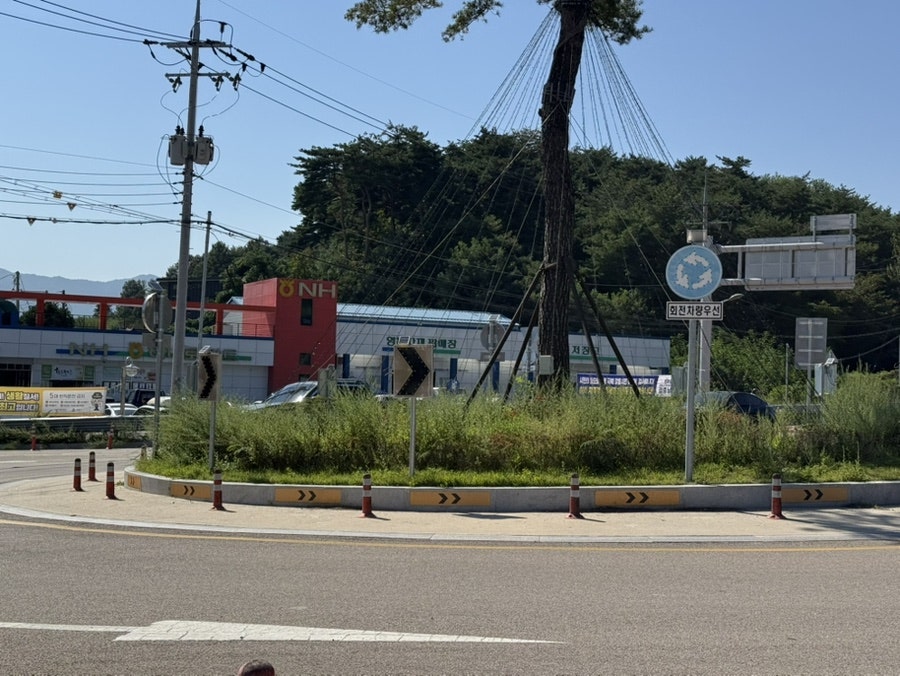 강동종로약국 사진 3