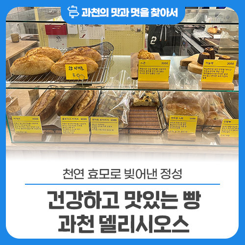 델리시오스 사진