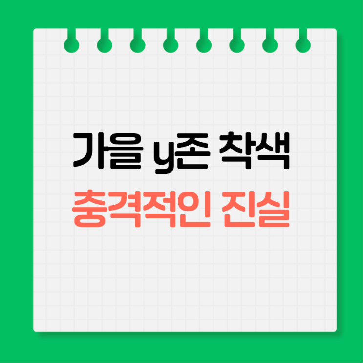 Y존 착색, 가을에 더 심해진다고? 충격적인 진실