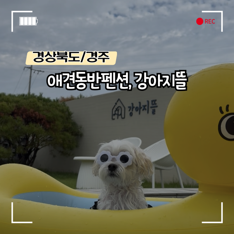 사진 2