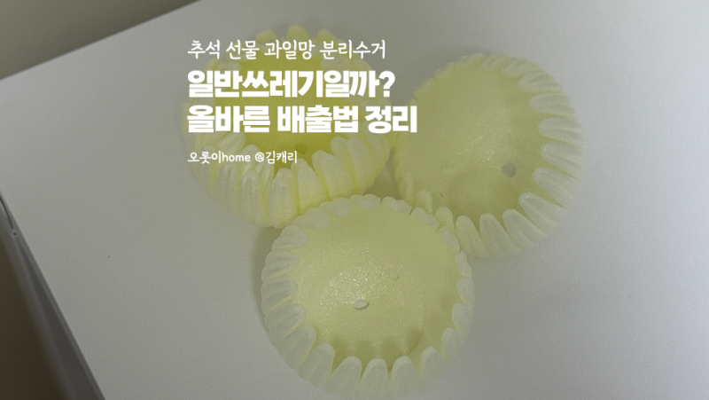 추석 선물 과일망 분리수거, 일반쓰레기일까? 올바른 배출법 정리