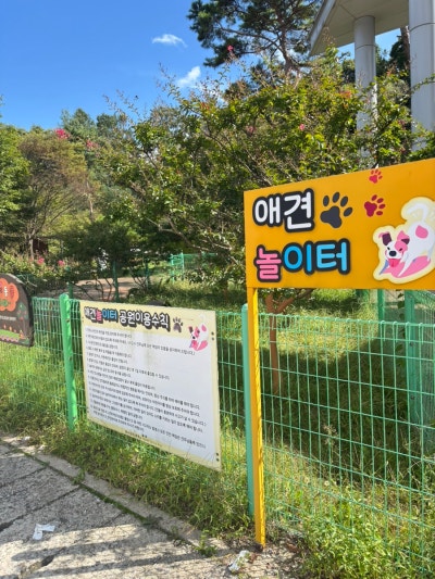 사진 5