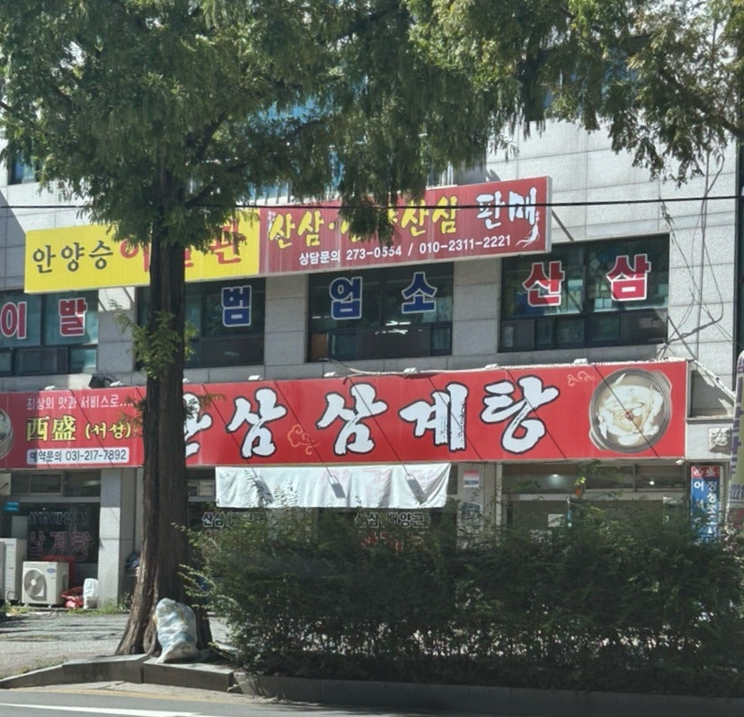 서성산삼삼계탕 사진 2