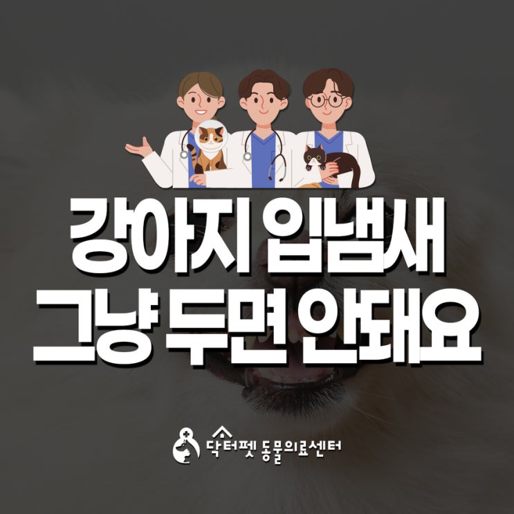  강아지 입냄새 그냥 두면 왜 안 될까?