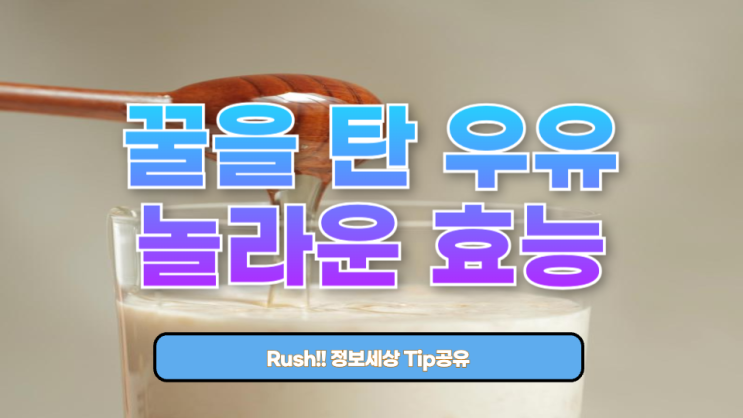  당신이 몰랐던 꿀을 탄 우유의 놀라운 효능과 주의사항