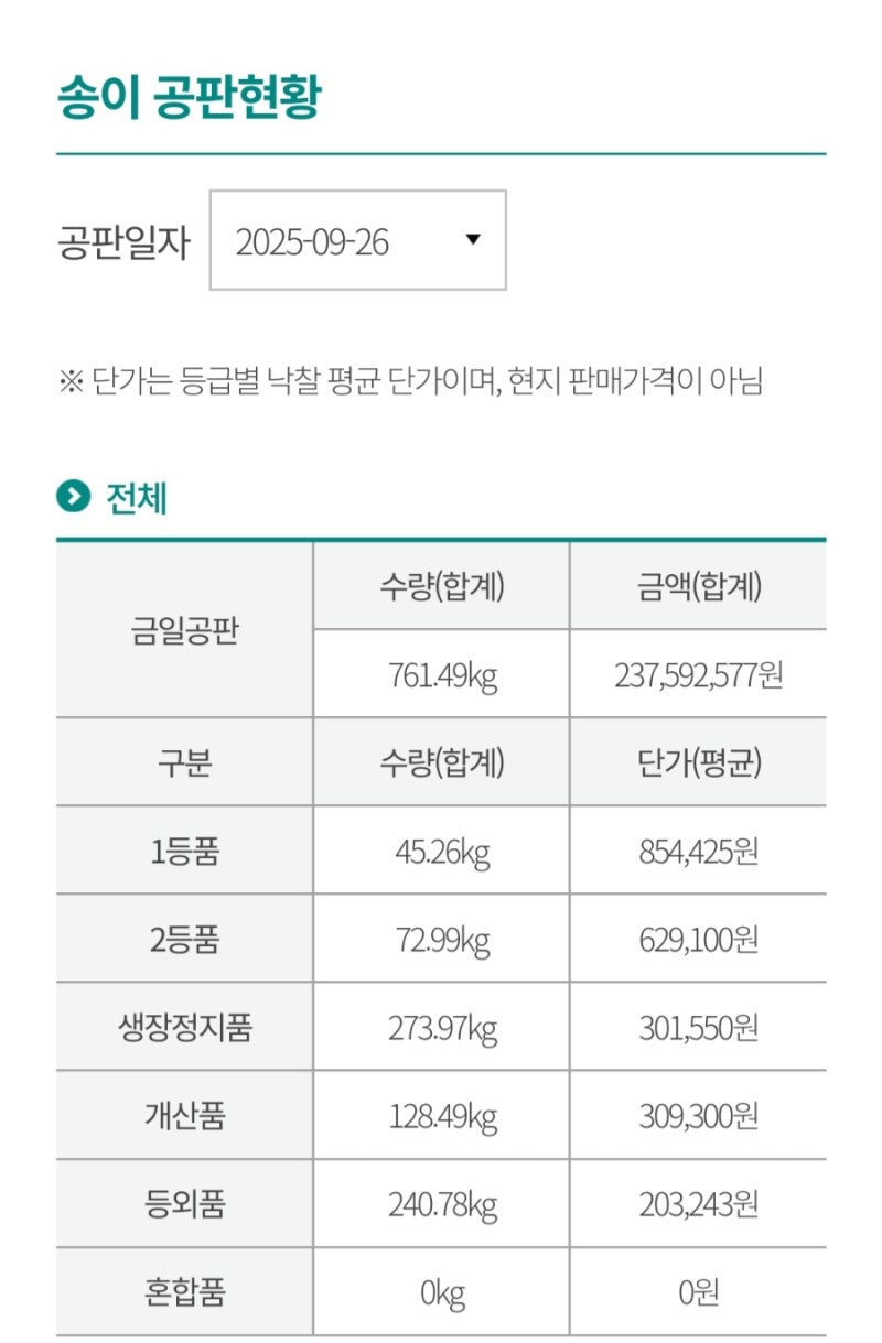 2025.9.26국내산송이버섯입찰가격