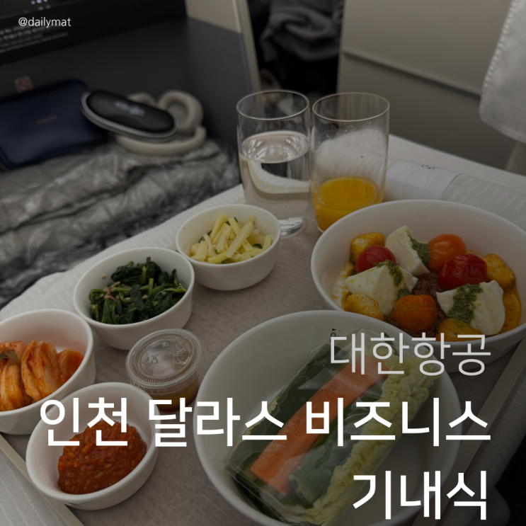  KE031 인천-달라스 대항항공 비즈니스 클래스 기내식 후기
