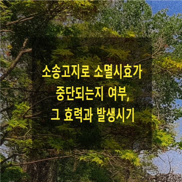  소송고지로 소멸시효가 중단되는지 여부, 그 효력, 발생시기