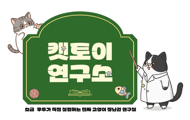 사진 3