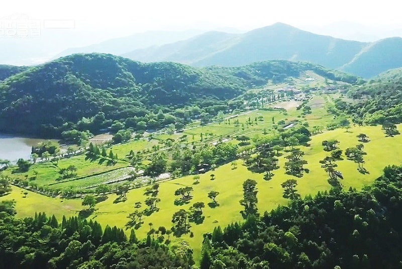 사진 2