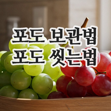  냉장·냉동으로 신선하게 포도오래보관법과 포도씻는법