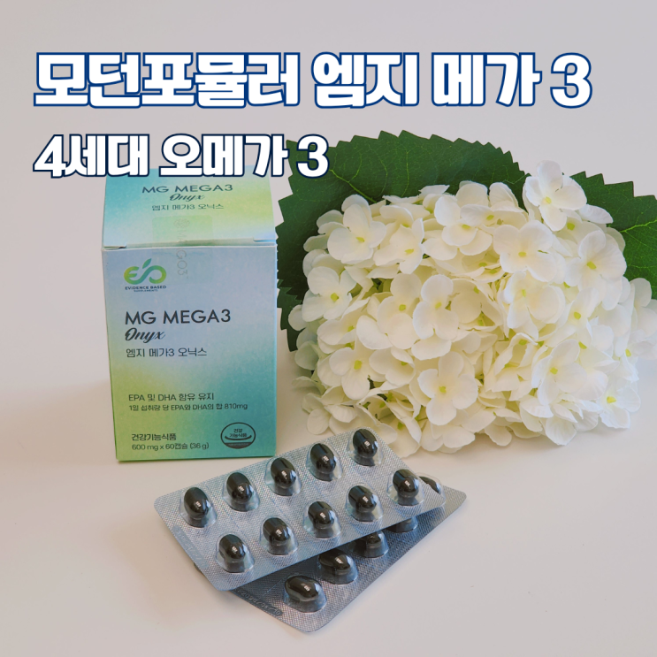  눈건강 오메가3 추천 모던포뮬러 엠지 메가 3 MAG오메가 섭취 후기