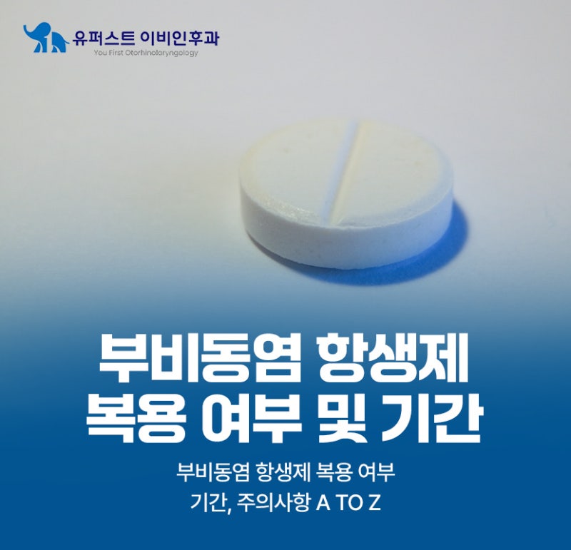 부비동염 항생제 복용 여부 및 기간, 주의사항 정리