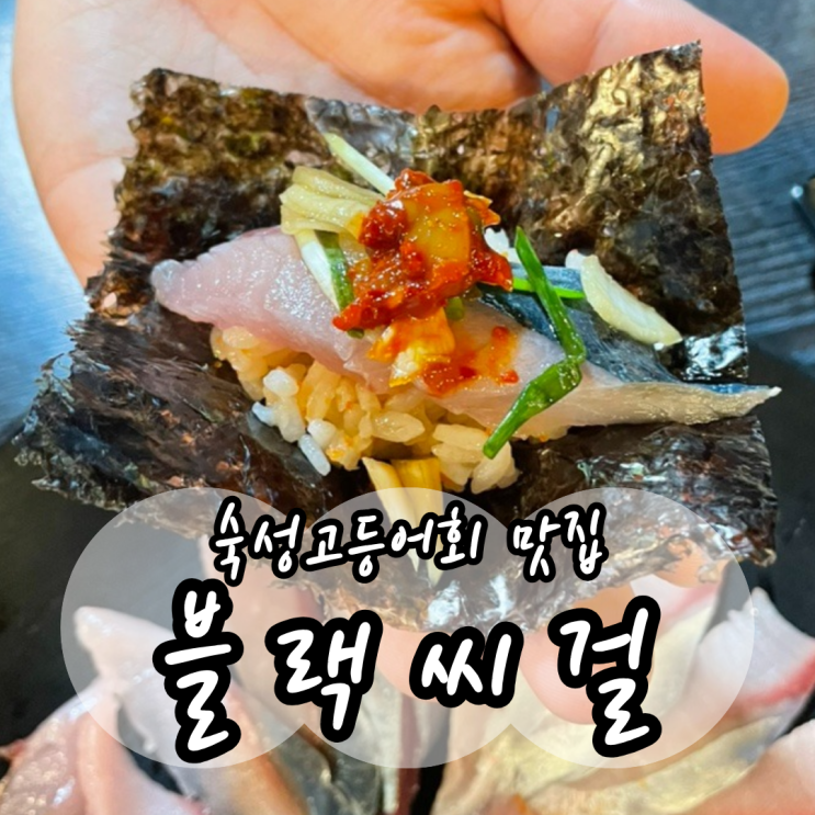  제주도민 추천 가성비맛집, 블랙씨걸 숙성고등어회 내돈내산 후기