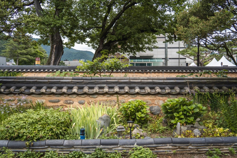 사진 4