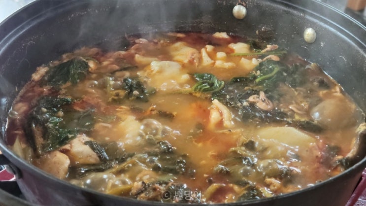  화성매운탕 은사골 본점 메기매운탕 양 푸짐한 맛집 강추