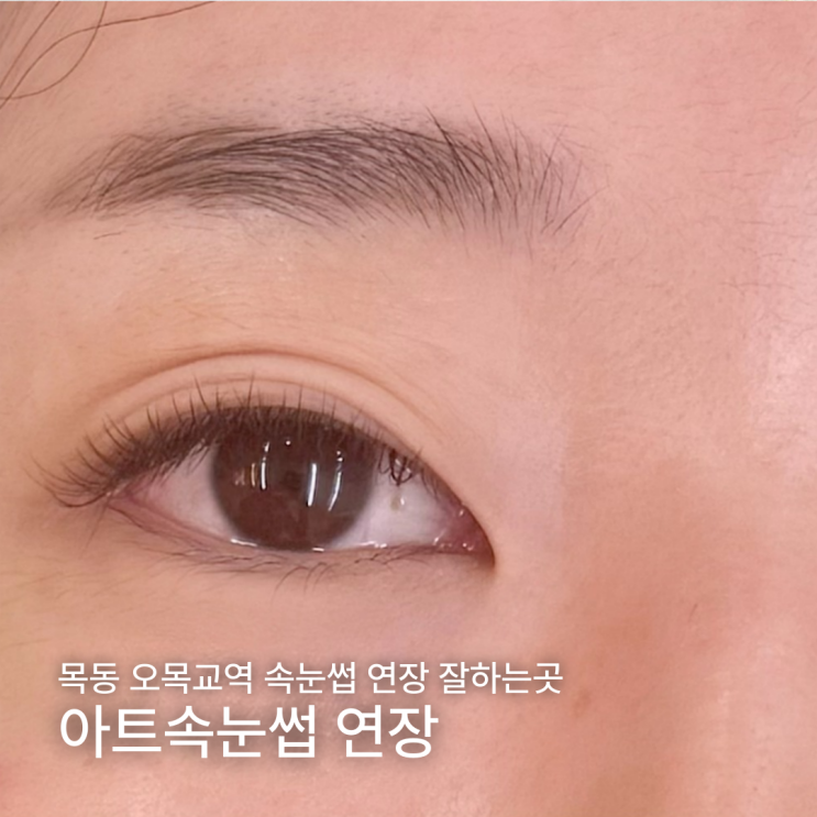  오목교 속눈썹펌 잘하는 곳 동시시술이랑 주차 가능한 아트 속눈썹