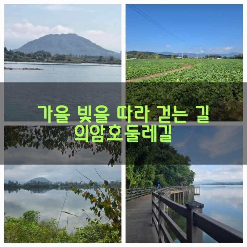 사진 10