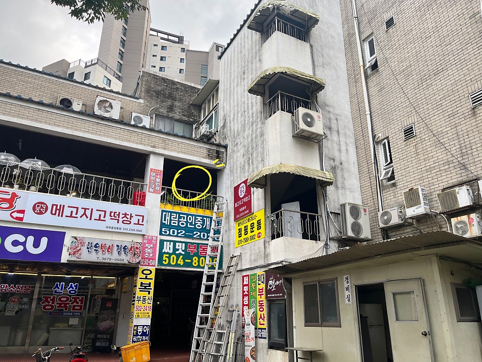 델리시오스 사진 3