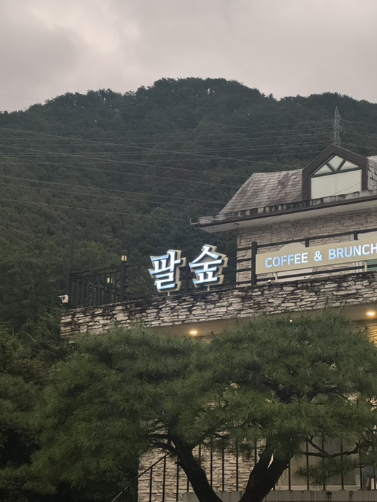  남양주카페 | 피톤치드를 느낄 수 있는 뷰 맛집 카페 팔숲 리뷰