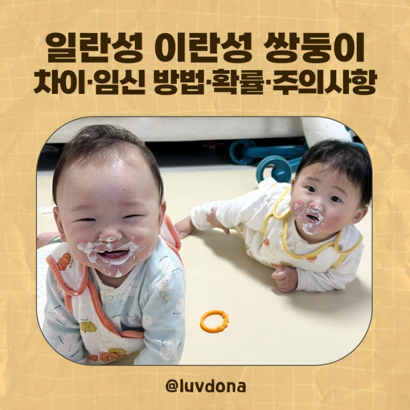 일란성 이란성 성별과 차이, 쌍둥이 임신 방법·확률·주의사항 제대로 알기