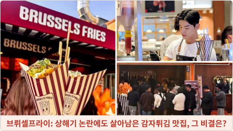  브뤼셀프라이: 상해기 논란에도 살아남은 감자튀김 맛집, 그 비결은?