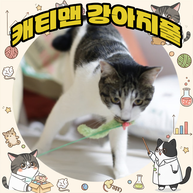  캐티맨 강아지풀 이게뭐라고 환장템 가성비극강 고양이장난감