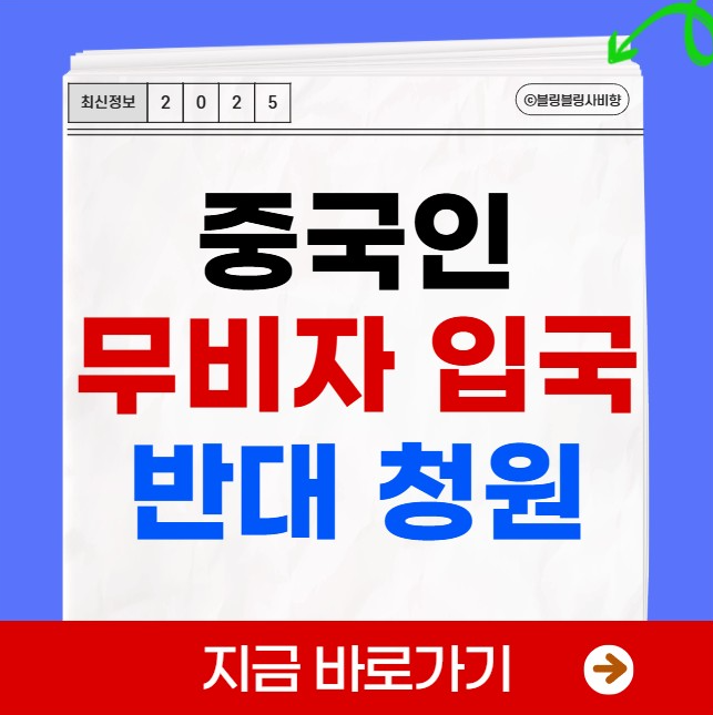 중국인 무비자 입국 반대 국민 청원 링크 관광수입 기대효과 장점 단점
