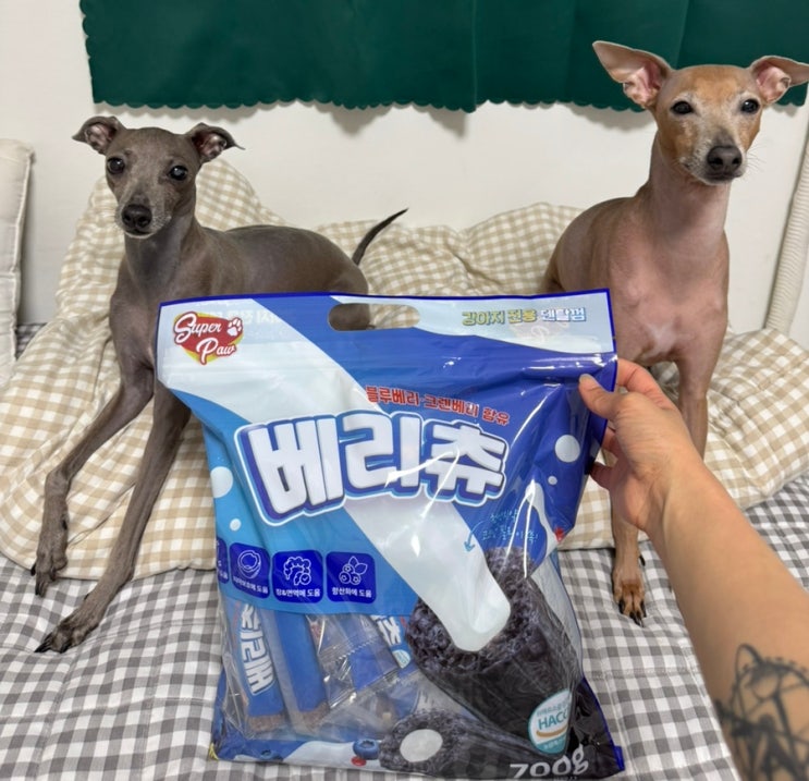 코스트코에서 찾은 강아지덴탈껌 꿀템! [슈퍼포우 베리츄] 리뷰