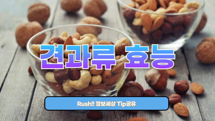  견과류 효능 완전 정복 | 하루 한 줌의 건강 마법