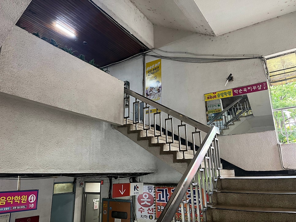 델리시오스 사진 4