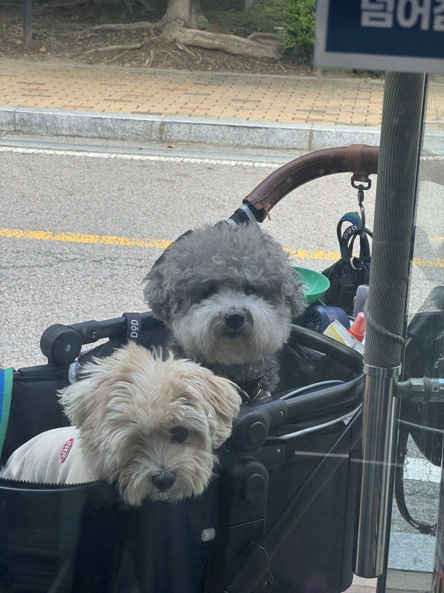 싸르르 사진 2