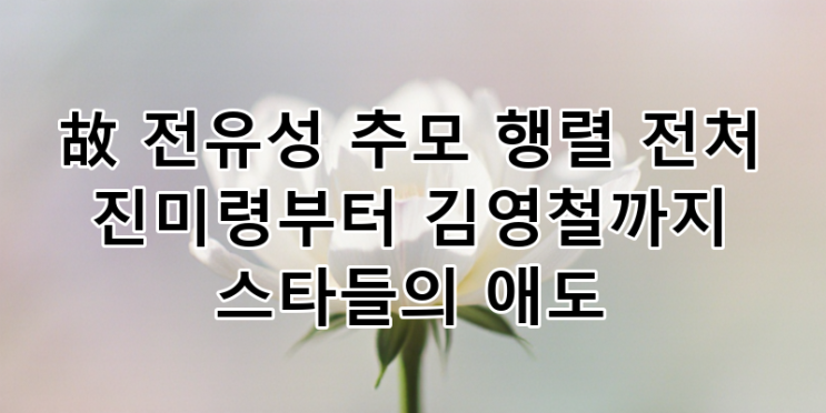 故 <b>전유성 추모</b> 물결, 전처 진미령 <b>애도</b>와 스타들의 마지막 배웅... 