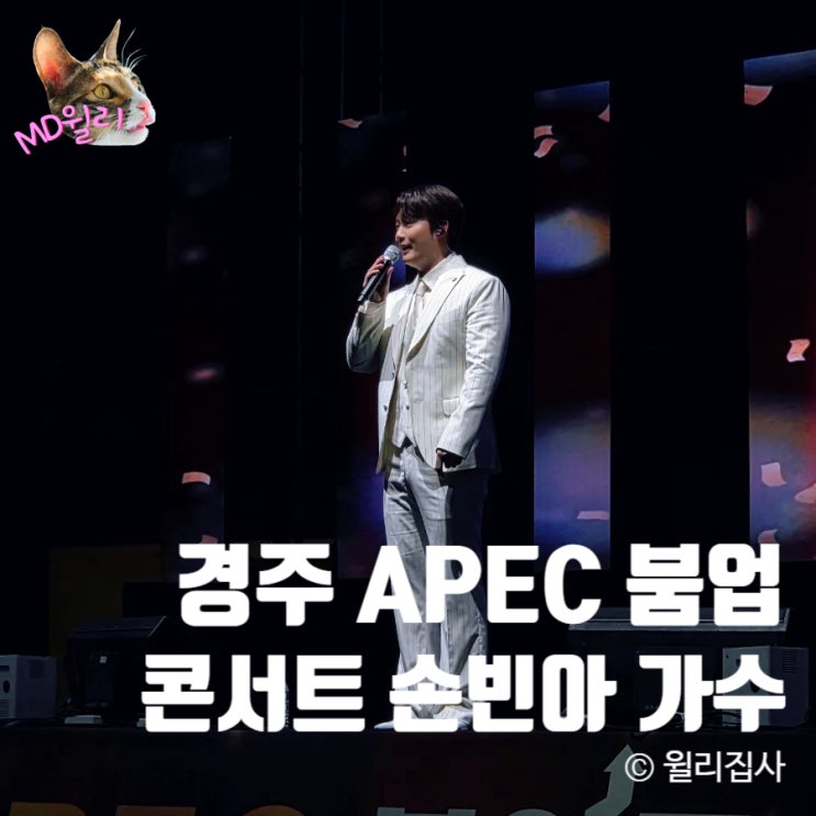  경주 APEC 붐업 콘서트 엔딩 손빈아 가수