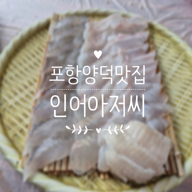 포항 양덕 맛집 인어아저씨 스끼다시 많은 장성동 맛집