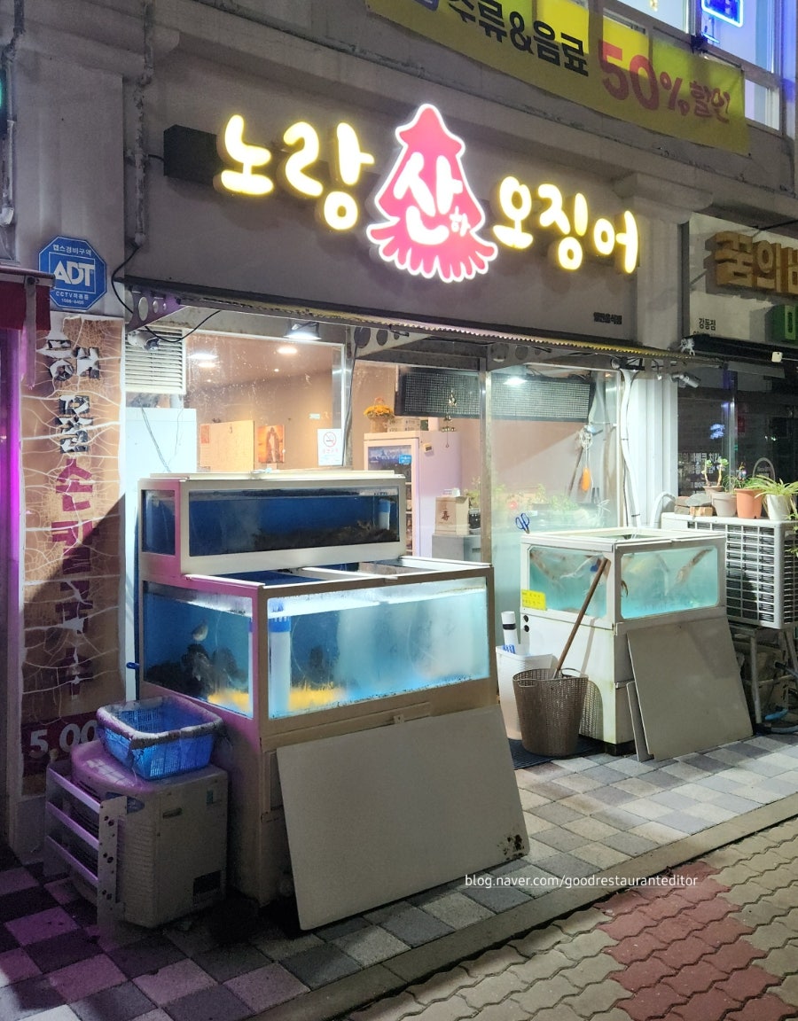 노랑산하오징어 사진