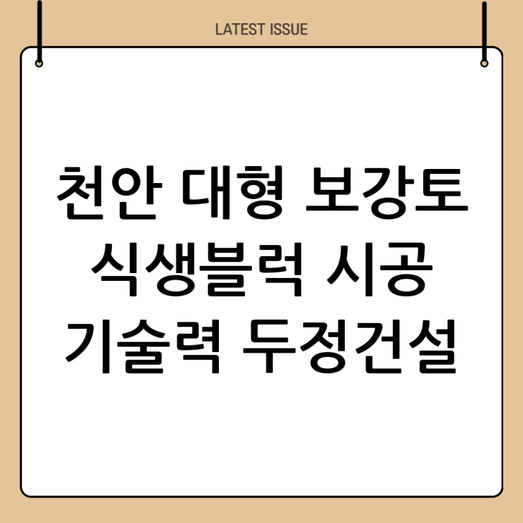  천안 대형보강토 식생블럭 전문 시공: (주)두정건설의 차별화된 기술력