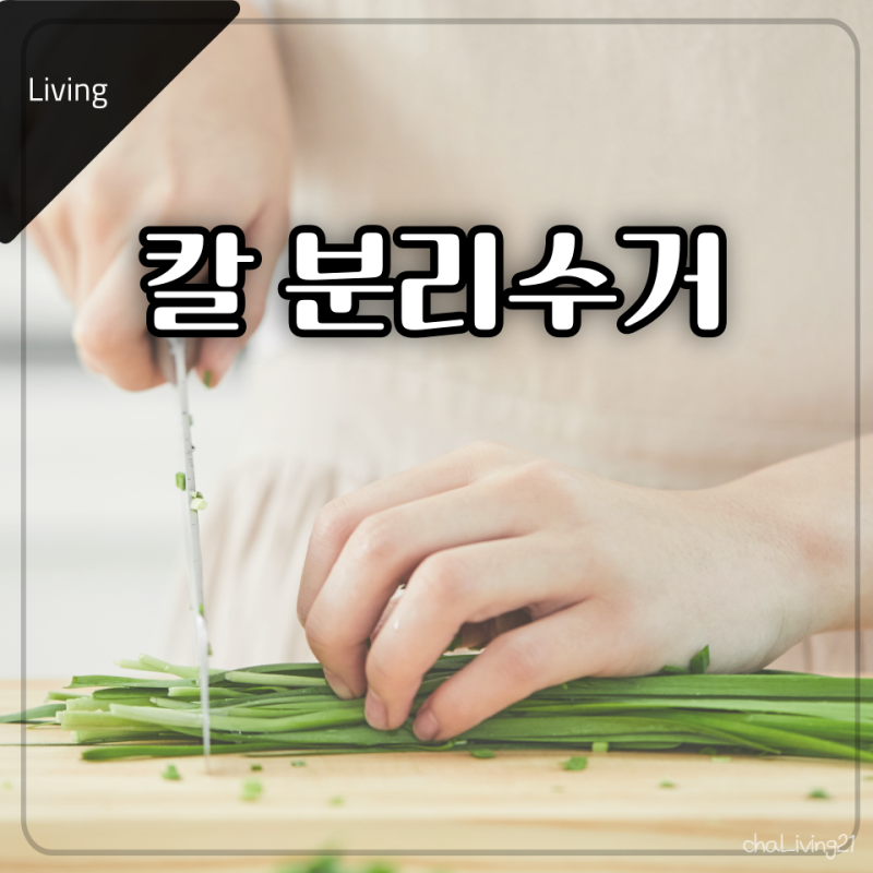 칼 분리수거 방법! 안전하고 간단하게 해결