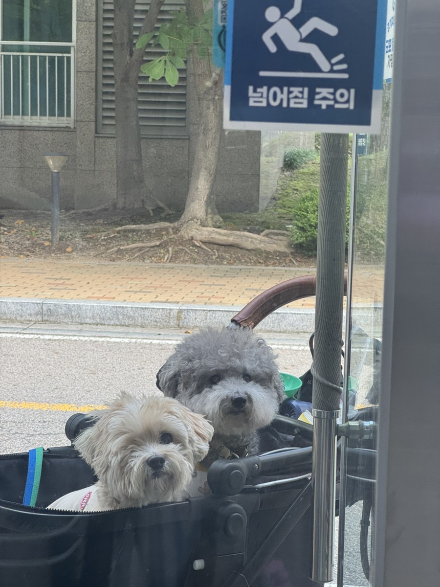 싸르르 사진 3
