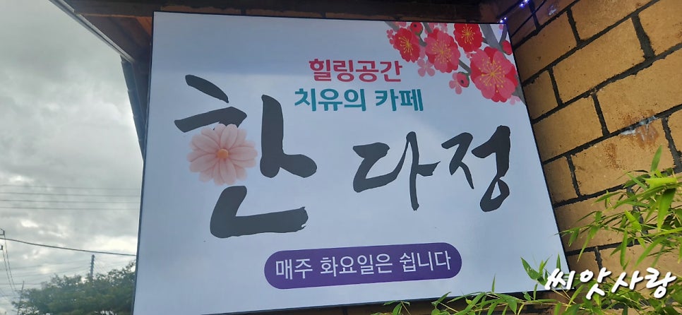 한다정 사진 1
