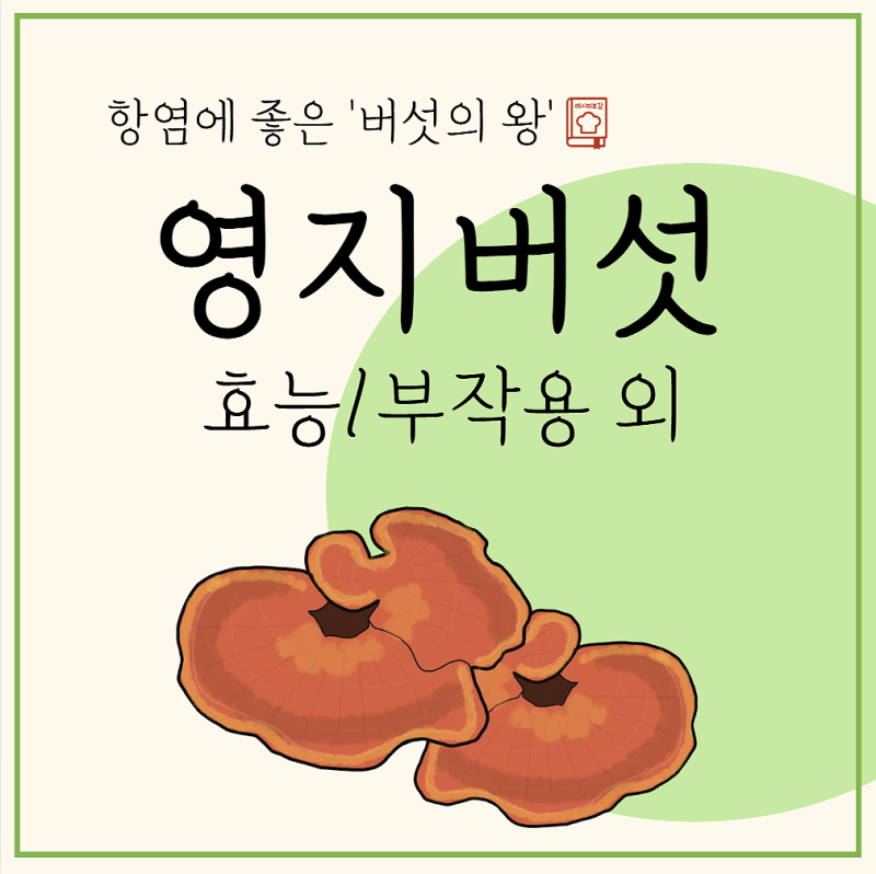 영지버섯 효능 먹는방법 자연산 가격 최대 얼마?