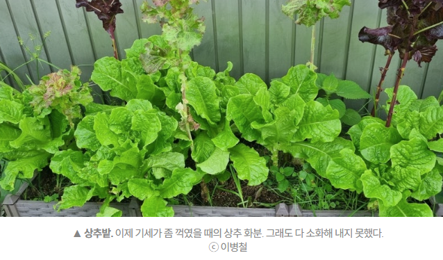  “프랑스 전역 까르푸 입점!”  미식의 나라 홀린 K-스낵, 꼬북칩 대박난 이유
