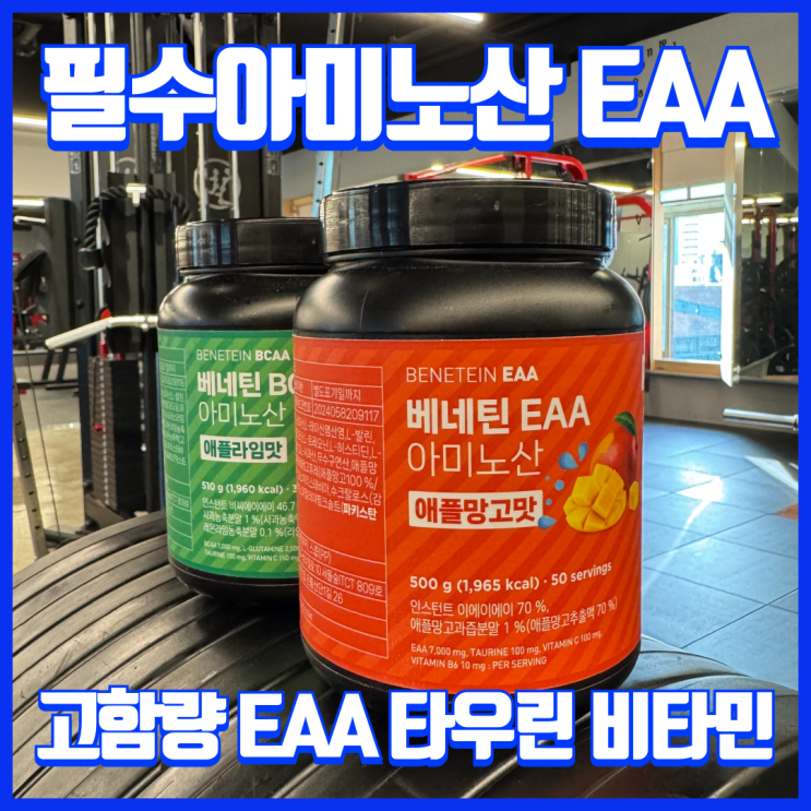  헬스 웨이트 트레이닝 필수 아미노산, 애플망고맛 고함량 EAA 추천