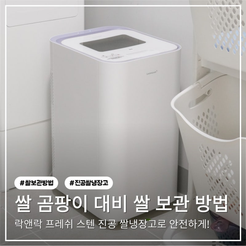 쌀 곰팡이 쌀 보관 방법 진공쌀냉장고 락앤락 진공쌀통