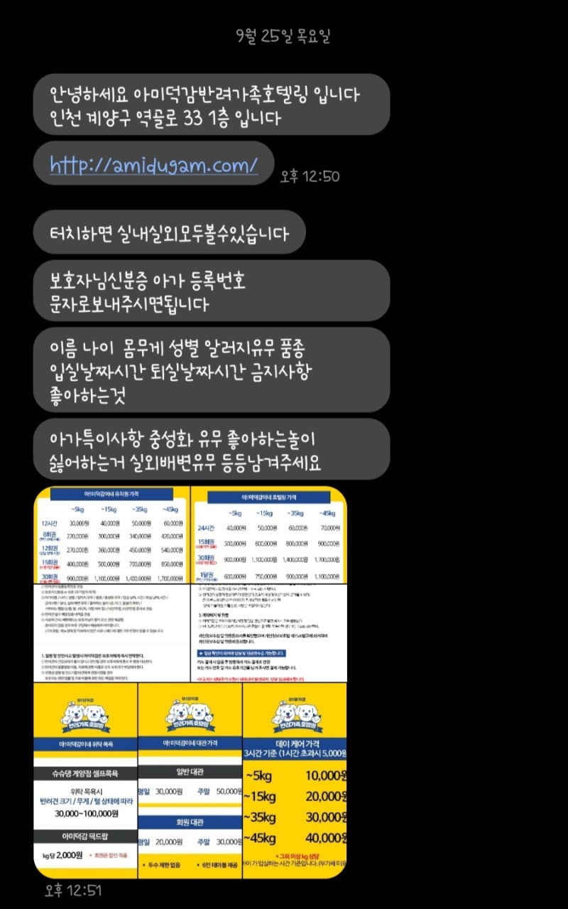 아미덕감반려가족호텔링