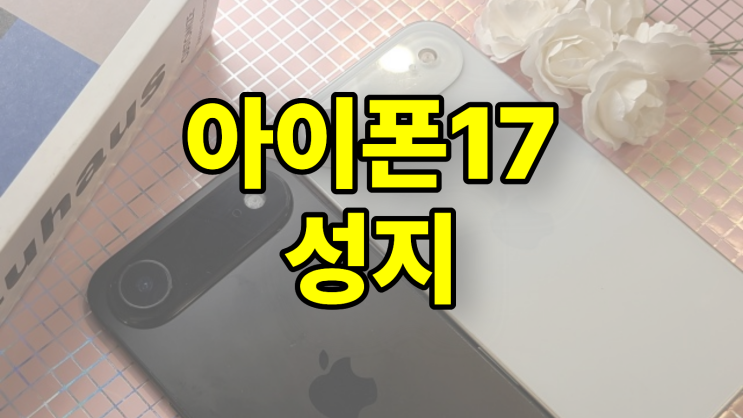  아이폰17 성지 가격 전국 휴대폰 시세표 좌표