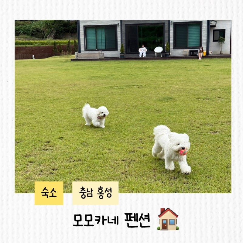 사진 5