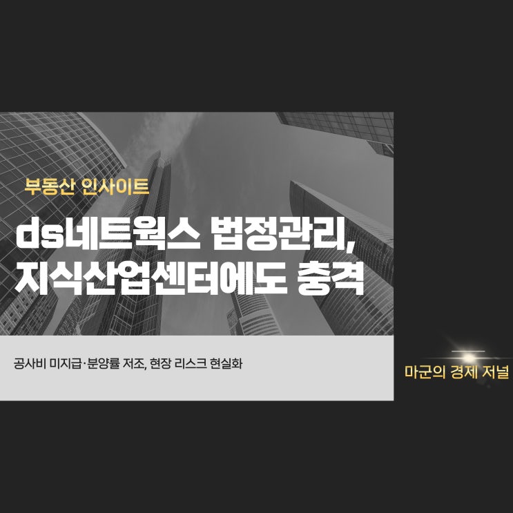  ds네트웍스 법정관리, 시행업계 구조적 위기 신호탄인가