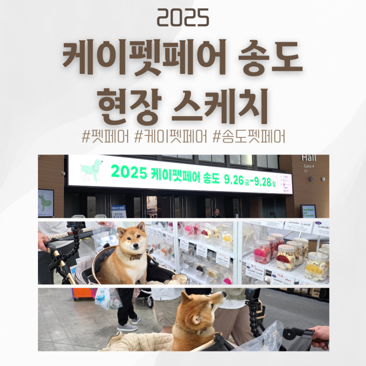  2025 케이펫페어 인천 방문 후기 | 송도 컨벤시아 주차 꿀팁