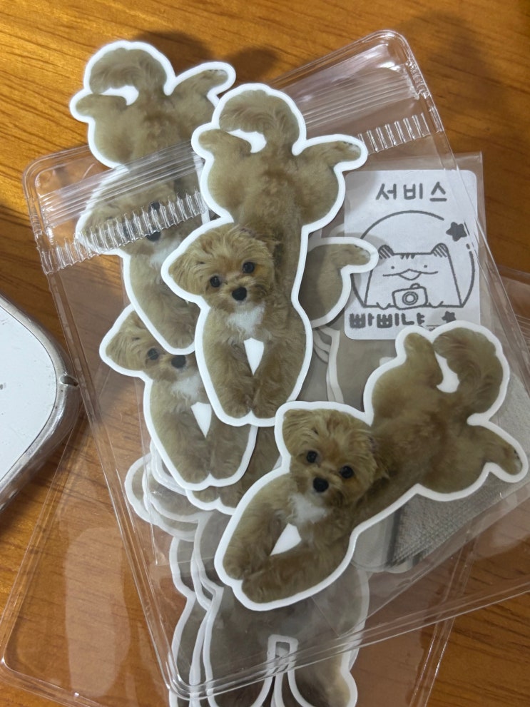  우리집 강아지 꼬미 스티커 주문 제작 후기  반려견 키링 굿즈